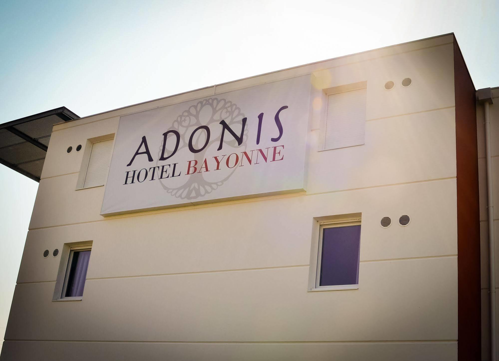 Adonis Bayonne